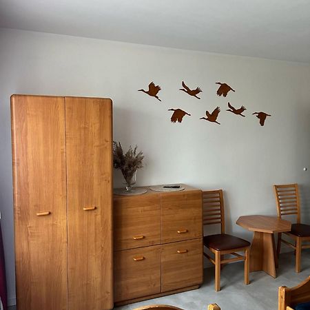 eMKa Noclegi apartamenty Augustów Zewnętrze zdjęcie